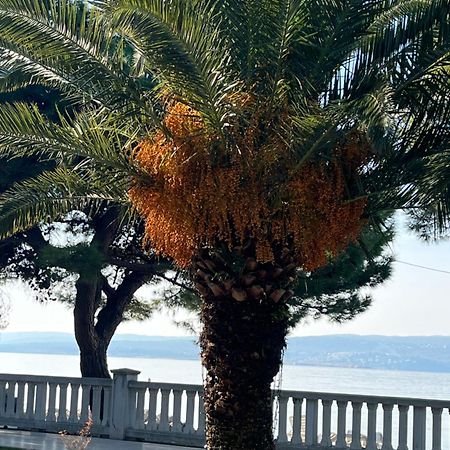 Crikvenica Right On The Beach Exteriör bild
